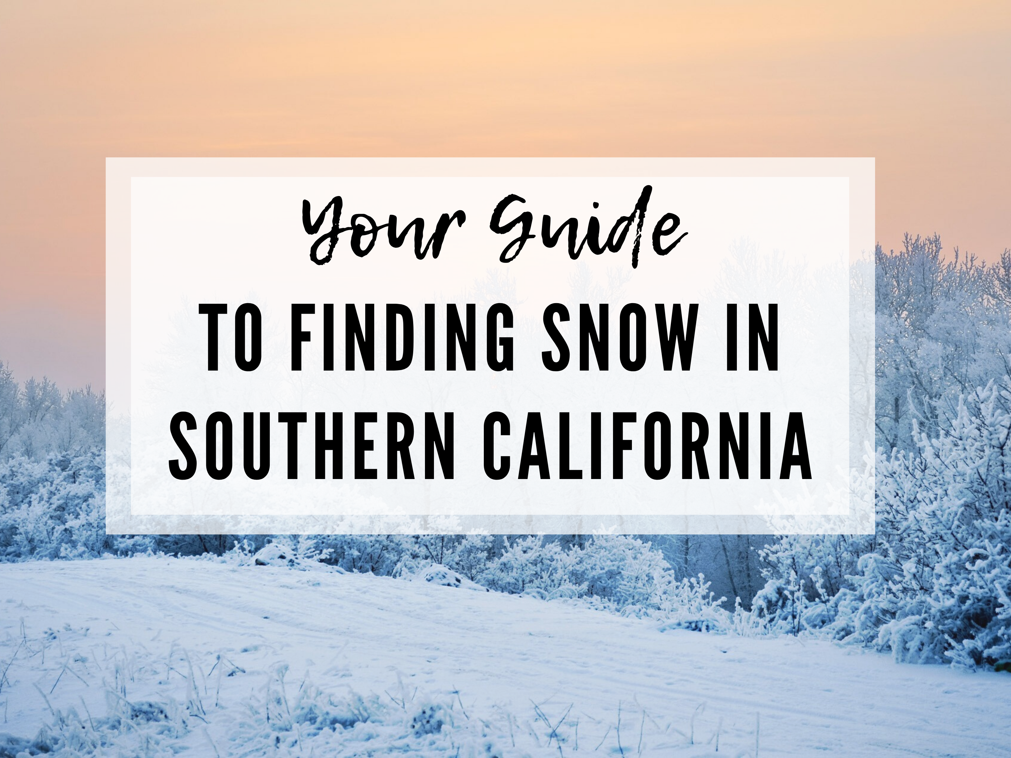 finding-the-closest-snow-to-san-diego-chelsey-explores-outdoor